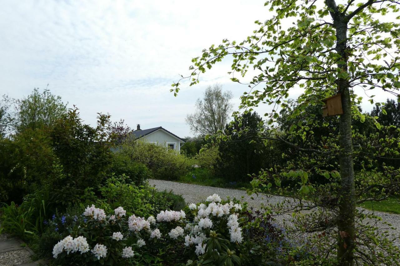 Ferienhaus-Lachmoewe カッペルン エクステリア 写真